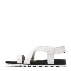 Sorel Women's Roaming Decon Sandal In Sea Salt 10 Sorel Women's Roaming Decon Sandal In Sea Salt -Style Walk Shop 1936621 125 m presethigh res 1100x